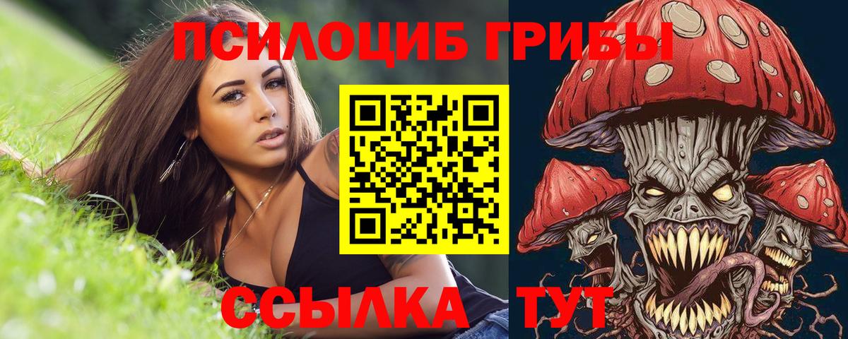 Назарово  наркотики  Вход с VPN  Псилоцибиновые грибы прущие грибы 