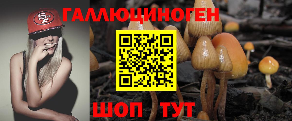 Галлюциногенные грибы Psilocybe Назарово